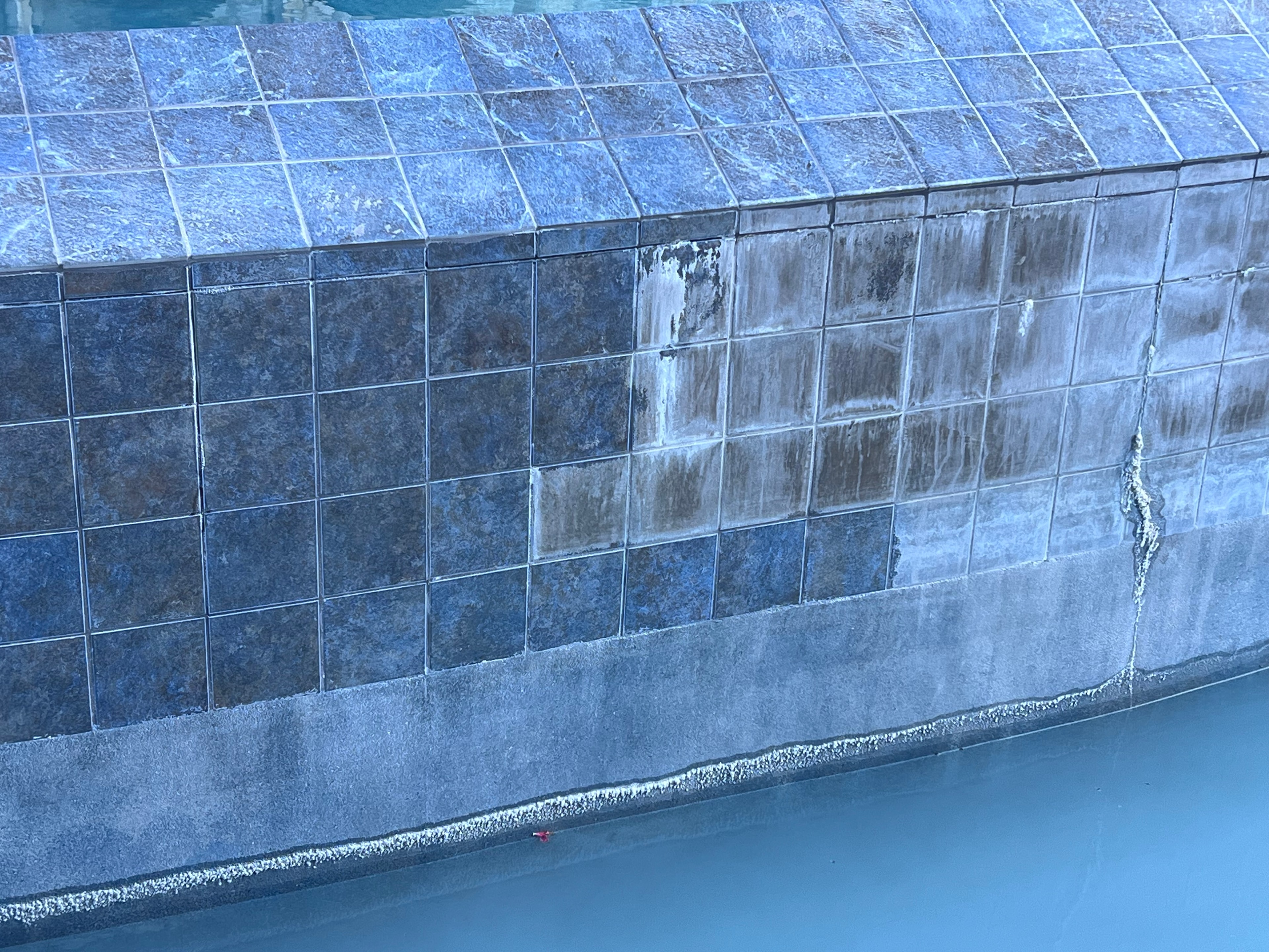 Pool tile with heavy calcium and scum buildup before cleaning